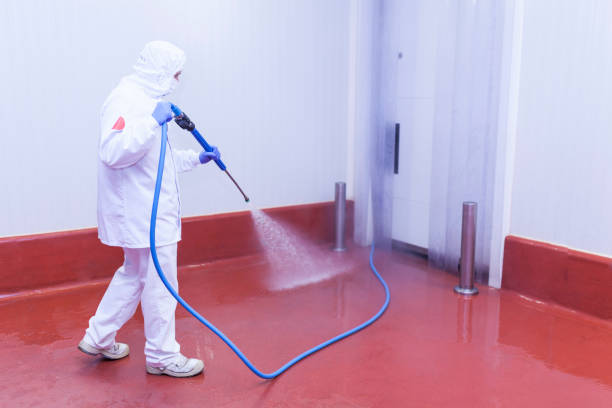 Best Sign and Awning Cleaning  in Hutchins, TX