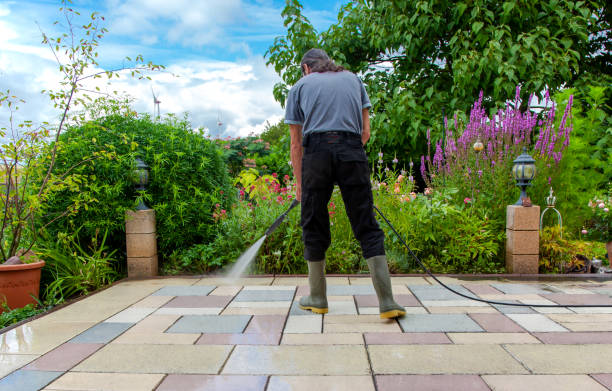 Best Winterizing Services  in Hutchins, TX